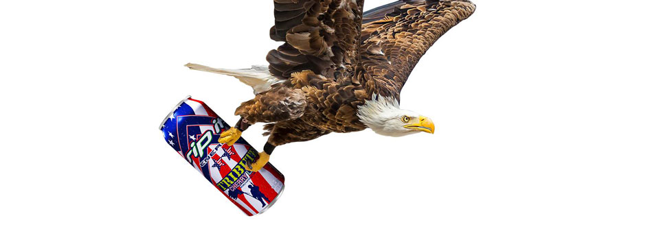 RIP IT Energy bald eagle carrying can header